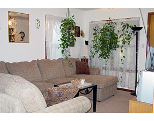 49 Redlands Street Springfield, MA 01104 - Photo 2 of 6 a living room with furniture and a potted plant