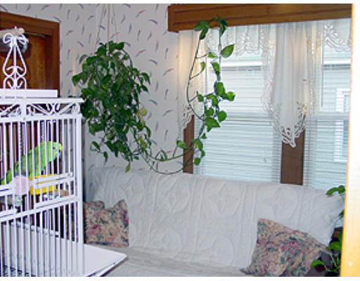 49 Redlands Street Springfield, MA 01104 - Photo 3 of 6 a view of a porch with potted plants