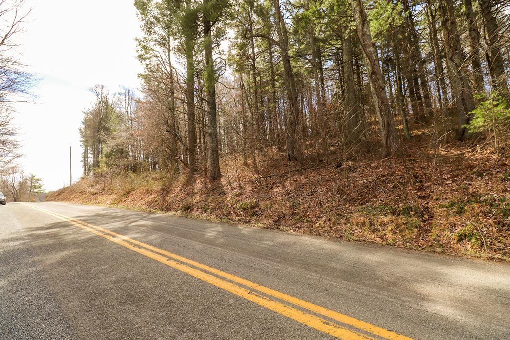 Tbd Tbd Keno Road, Unit 1 Laurel Fork, VA 24352 - Photo 20 of 20 Gallery Image 20