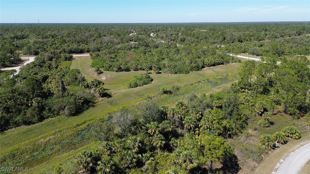 an aerial view of residential houses with outdoor space and trees