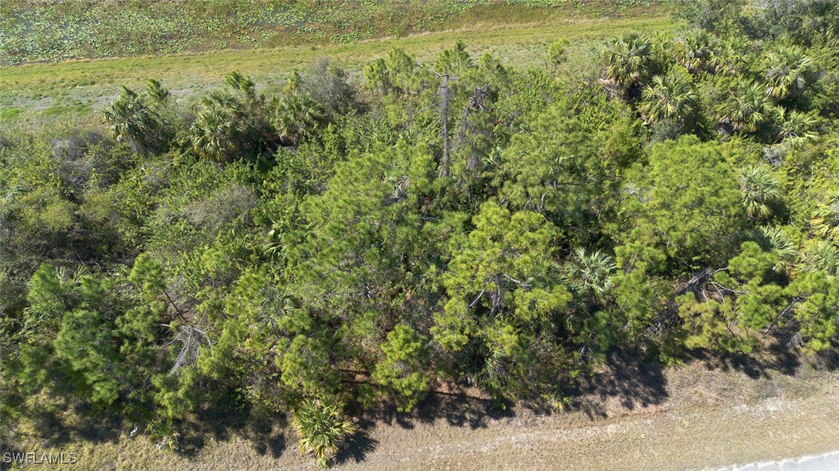 Grover Cir Port North Port, FL 34288 - Photo 5 of 5 a view of a field of grass and trees