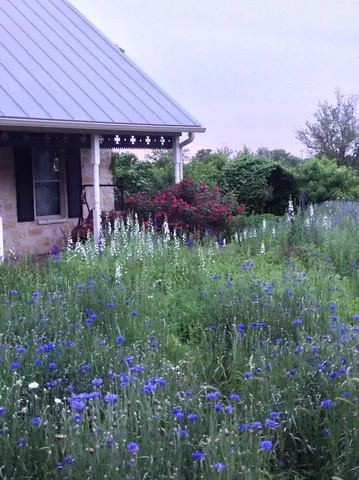 $1,050,000 | 256 Royalview Drive, Fredericksburg, TX 78624