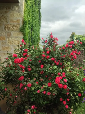 $1,050,000 | 256 Royalview Drive, Fredericksburg, TX 78624