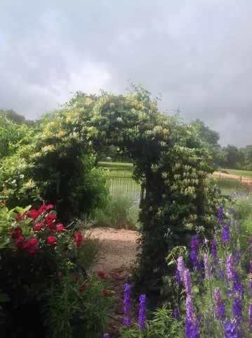 $1,050,000 | 256 Royalview Drive, Fredericksburg, TX 78624