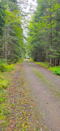 $625,000 | 9 Jerry's Road, Ashland, ME 04732