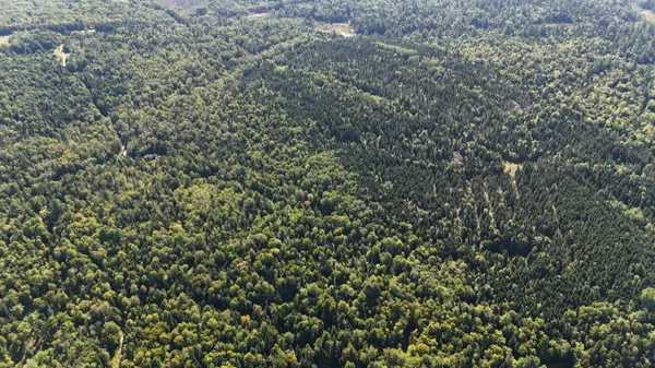 $625,000 | 9 Jerry's Road, Ashland, ME 04732