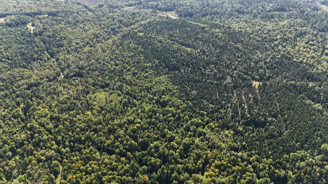 $625,000 | 9 Jerry's Road, Ashland, ME 04732