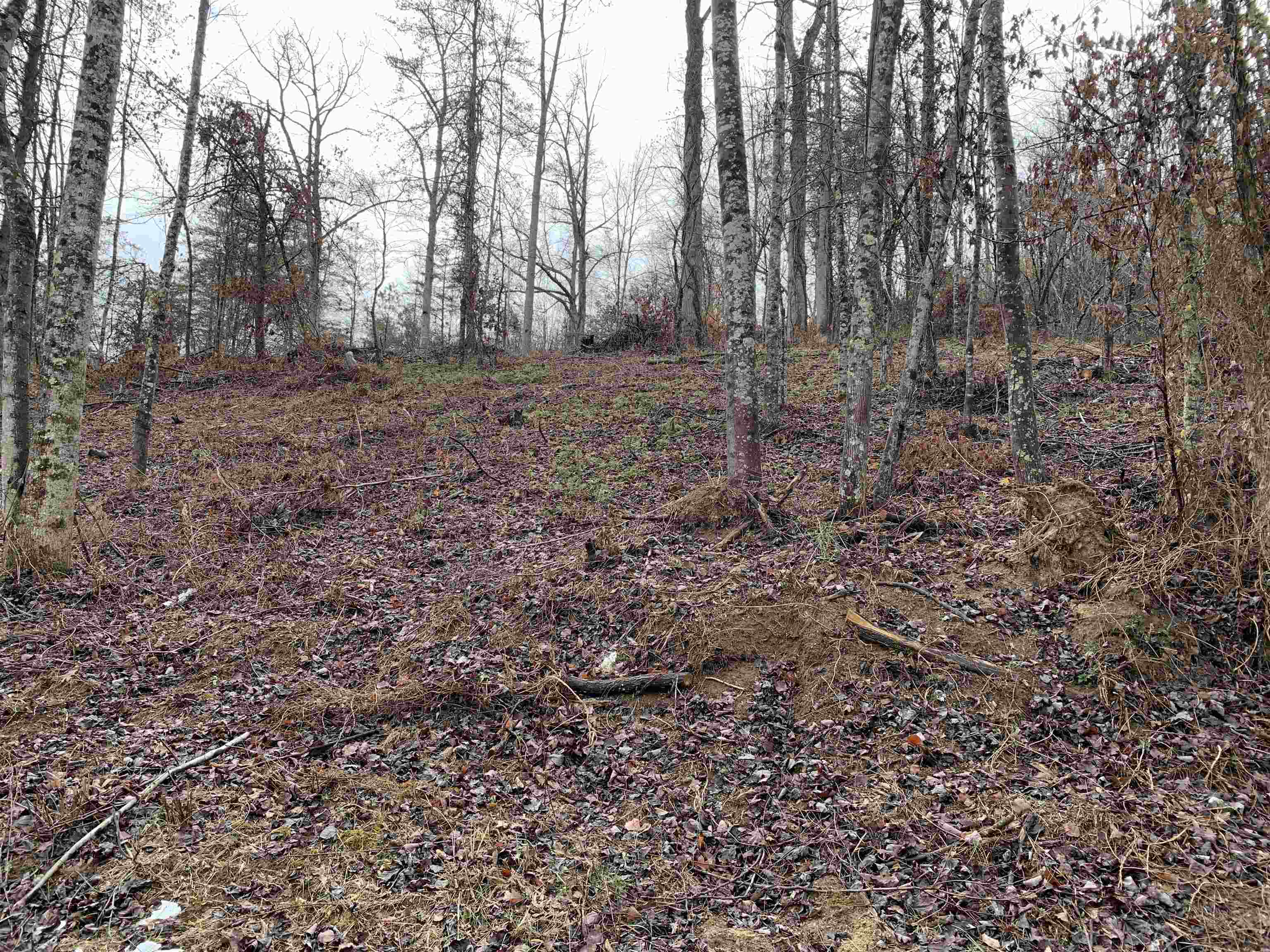 1336 Canoe Run Road Grayson, KY 41143 - Photo 13 of 13
