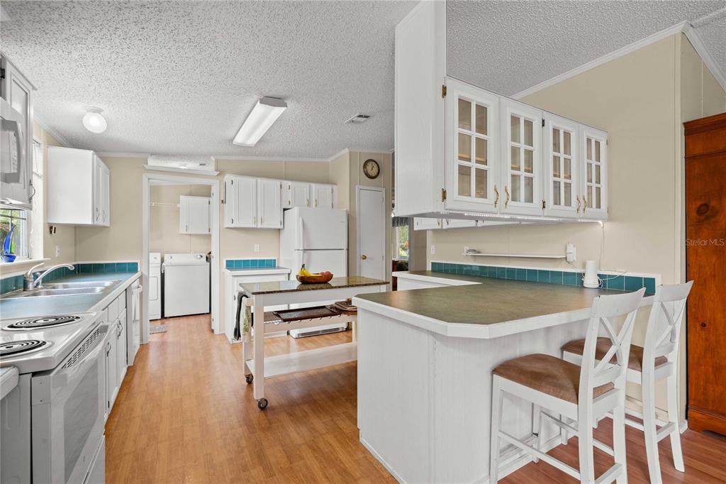 34945 Buck Road Zephyrhills, FL 33541 - Photo 16 of 47 Gallery Image 16