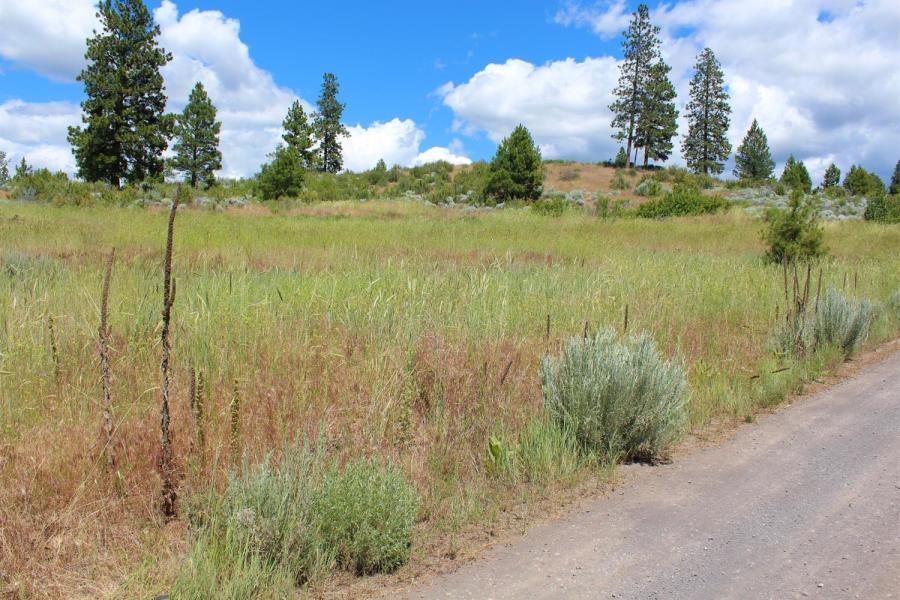 41-07 Ranch Road Chiloquin, OR 97624 - Photo 4 of 13 Street Side