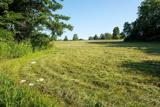 a view of a patio with a table and chairs