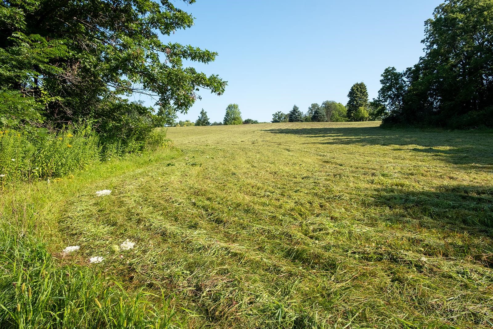 7822 Burr Oak Road Roscoe, IL 61073 - Photo 14 of 53 a view of a lake view with a tree