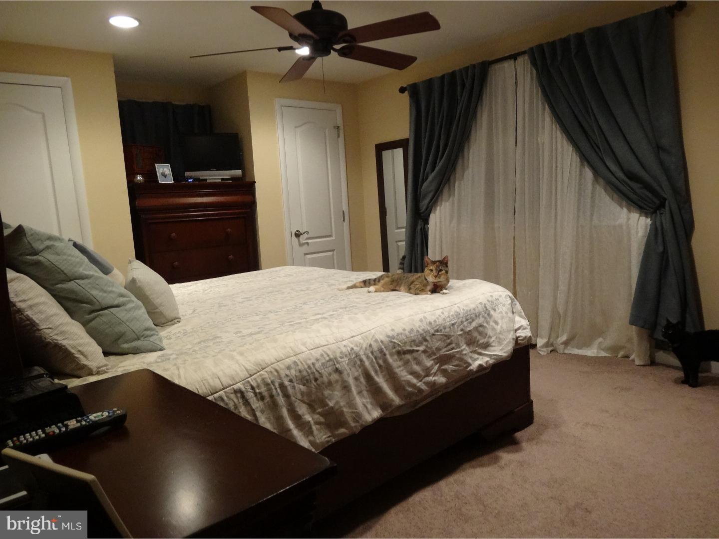 745 Claire Road Philadelphia, PA 19128 - Photo 17 of 25 Bedroom - Main