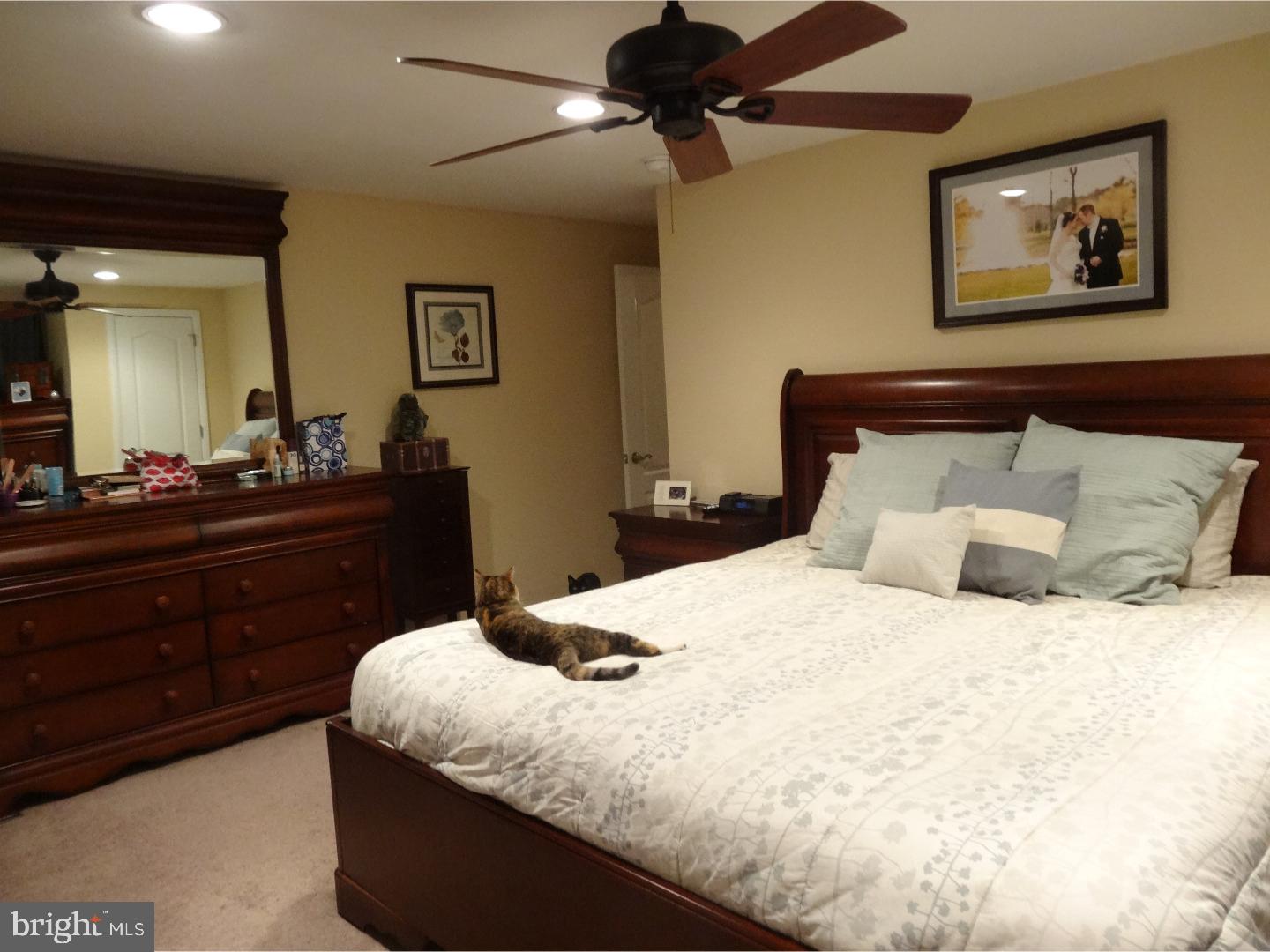 745 Claire Road Philadelphia, PA 19128 - Photo 18 of 25 Bedroom - Main