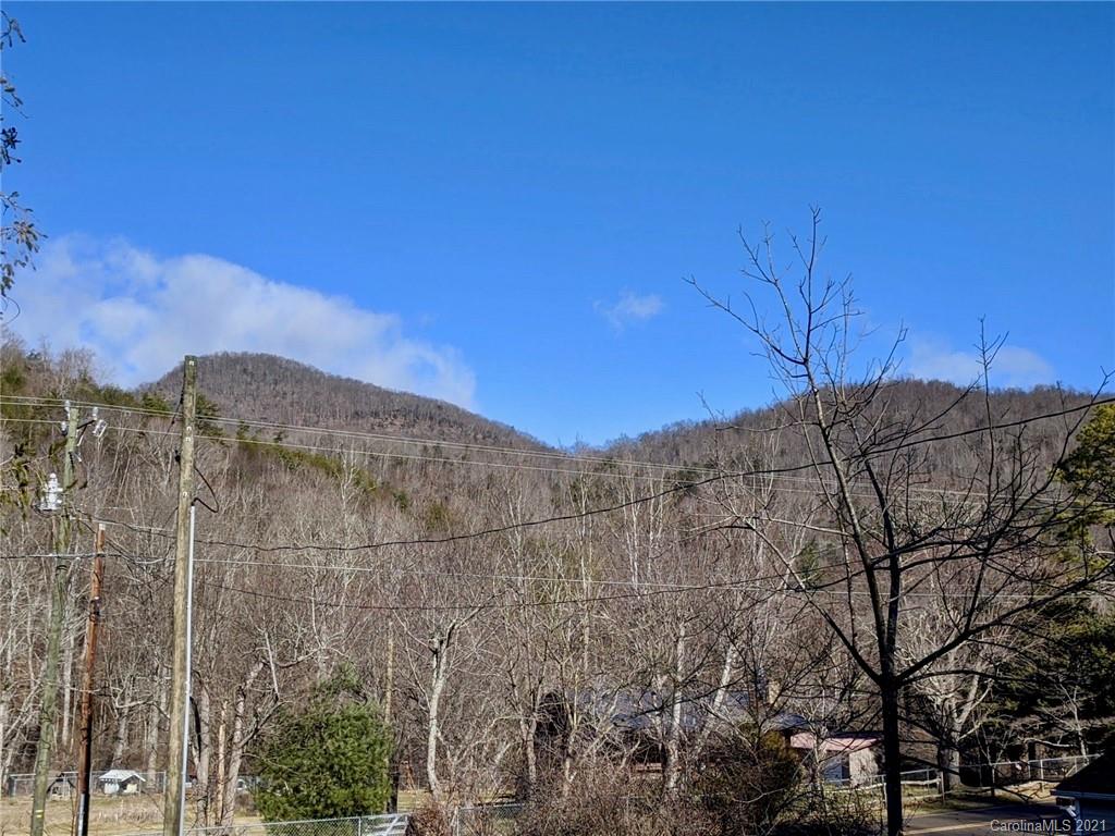 959 Bee Tree Road Swannanoa, NC 28778 - Photo 7 of 42 Gallery Image 7