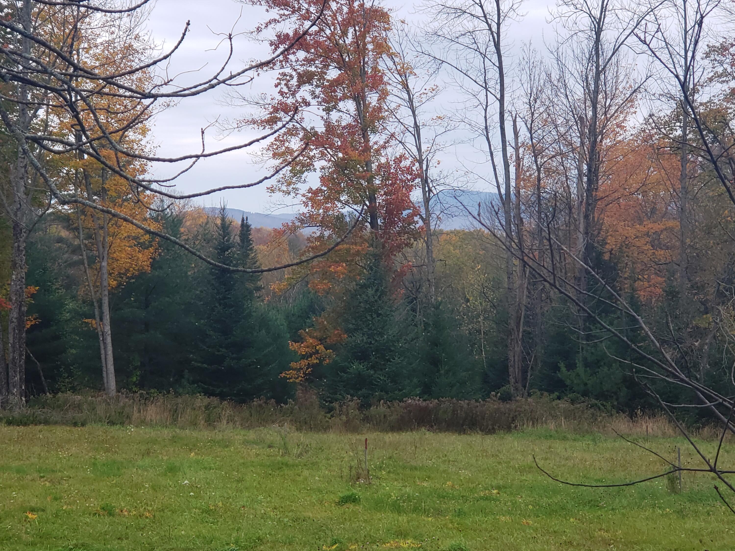 Tbd Franklin Road Jay, ME 04239 - Photo 21 of 22 20211021_120217