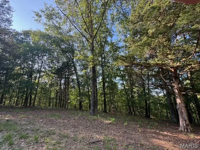 $238,900 | 110 Steeple Point Drive, Defiance, MO 63341