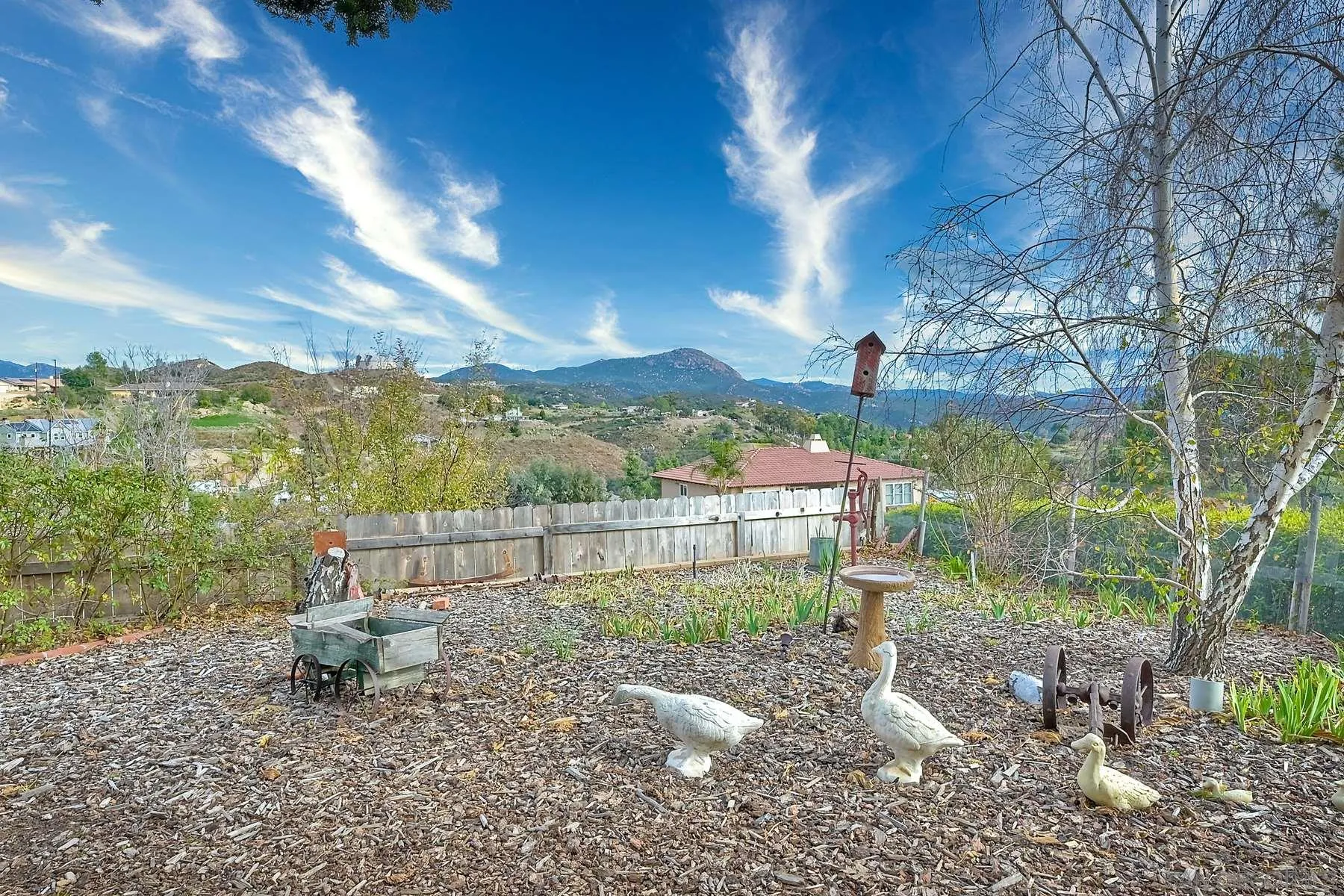 1828 Pine View Road Alpine, CA 91901 - Photo 6 of 53 a garden view with a fountain