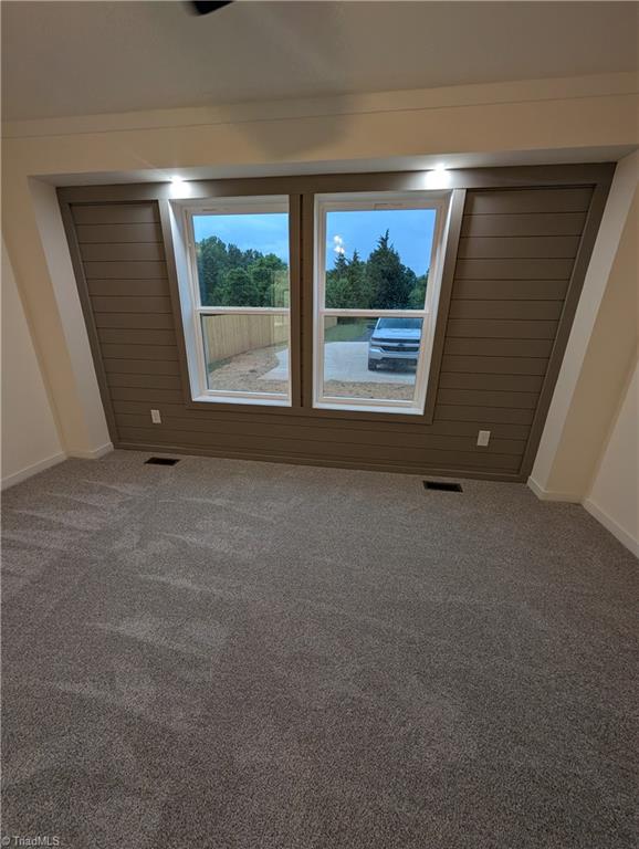 1204 Hawksview Road Franklinville, NC 27248 - Photo 19 of 22