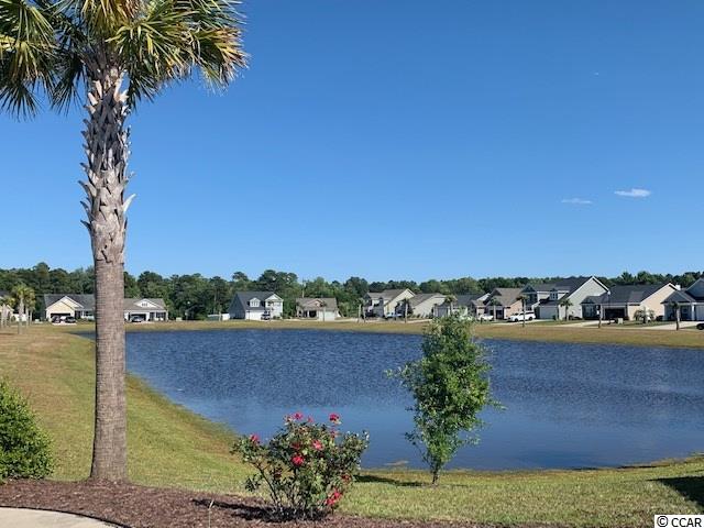 260 Whipple Run Loop Myrtle Beach, SC 29588 - Photo 3 of 40 Gallery Image 3