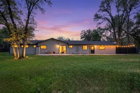 a view of backyard with tree