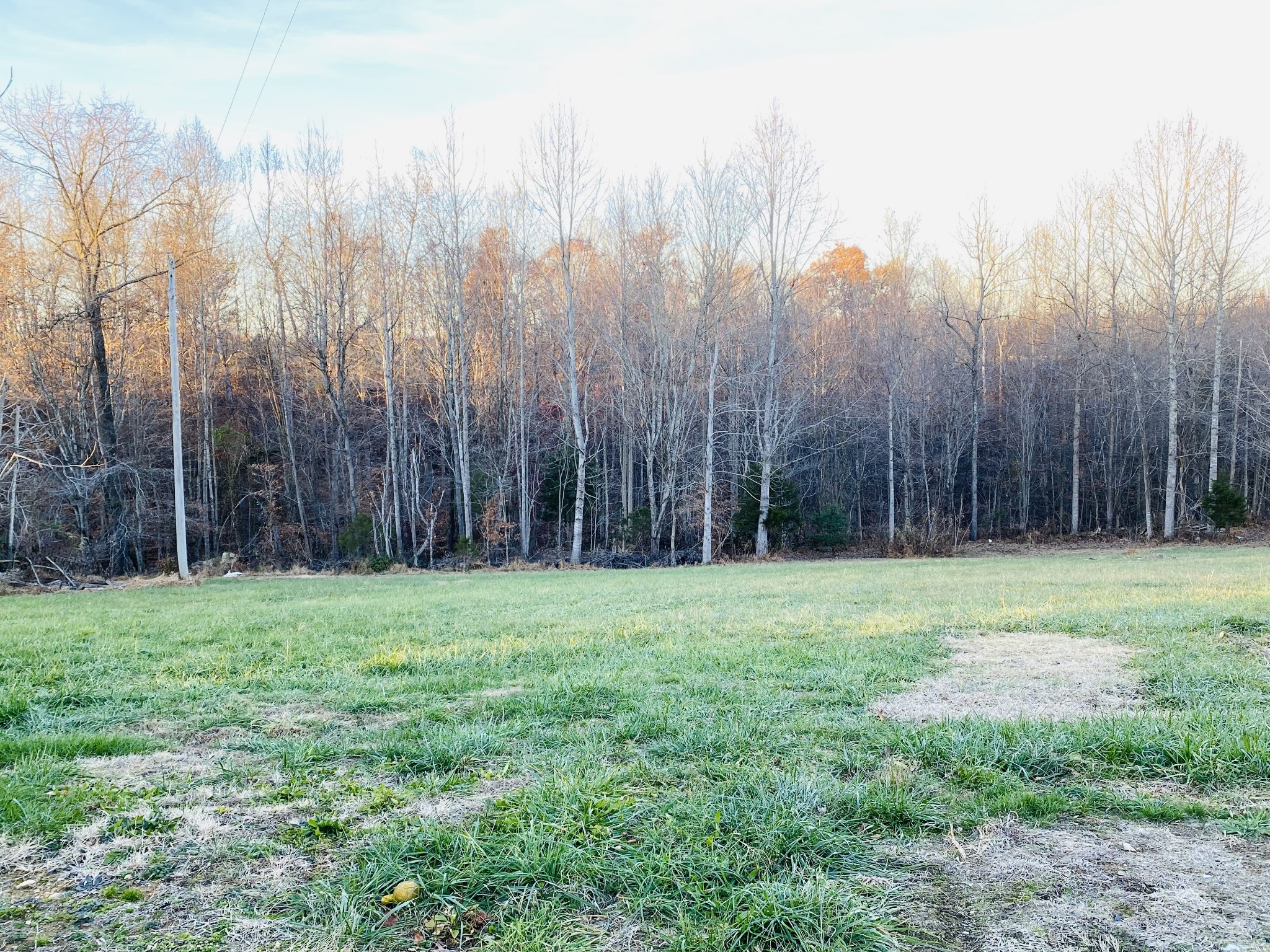 239 Dotson Road Lafayette, TN 37083 - Photo 3 of 12 a view of a yard with large trees and wooden fence