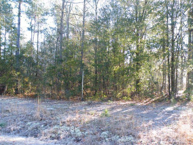 0 Porter Road Kelly, NC 28448 - Photo 1 of 4 Primary Photo