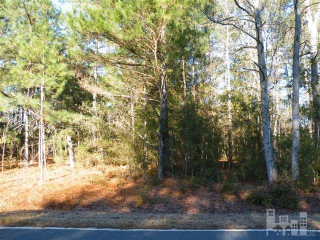 0 Porter Road Kelly, NC 28448 - Photo 3 of 4 Additional Photo