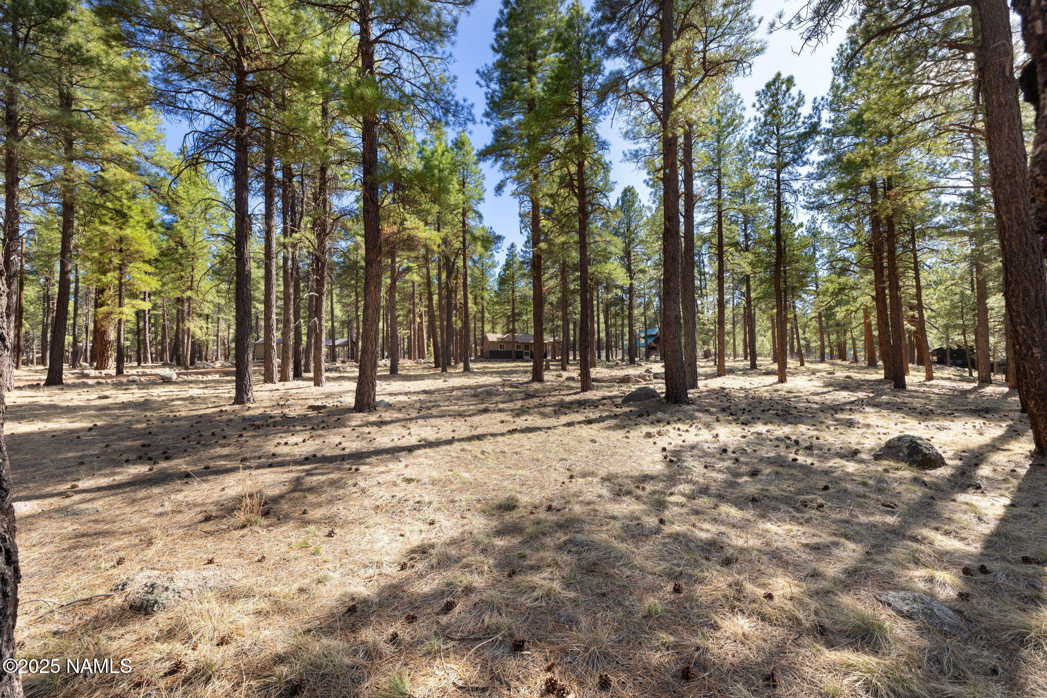 678 Warm Springs Road Williams, AZ 86046 - Photo 28 of 38 IMG_0248