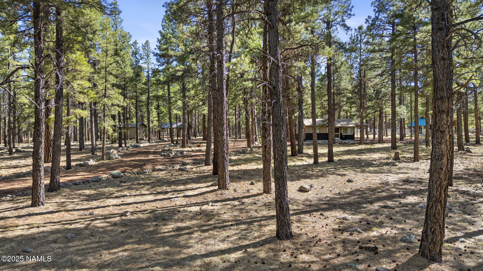 678 Warm Springs Road Williams, AZ 86046 - Photo 4 of 38 IMG_0273