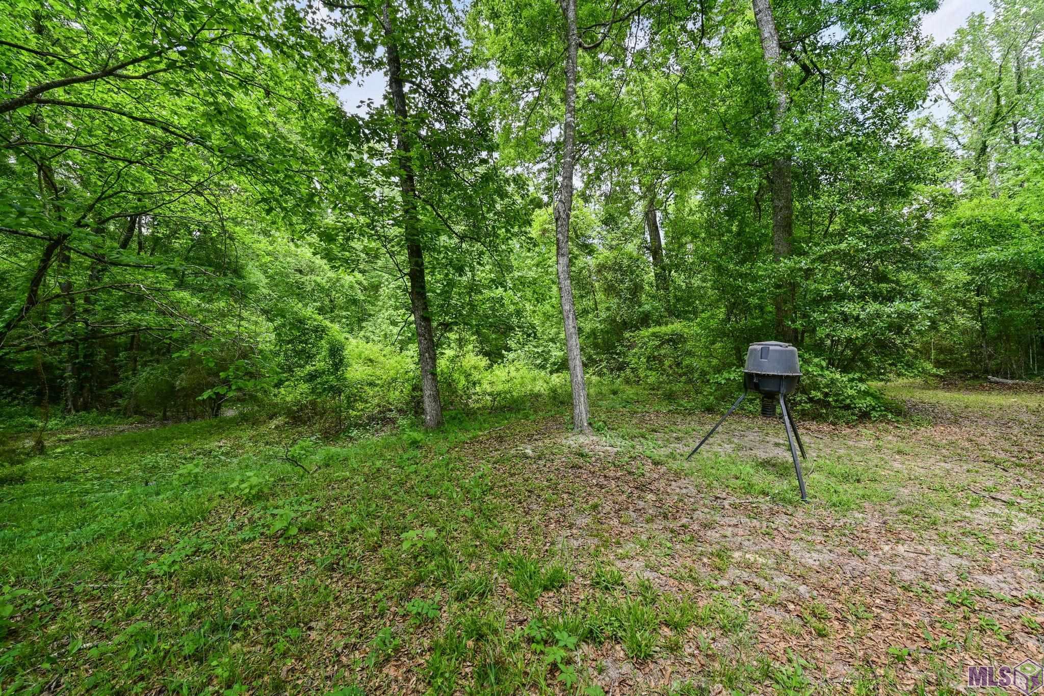 9836 Sligo Road St. Francisville, LA 70775 - Photo 47 of 55