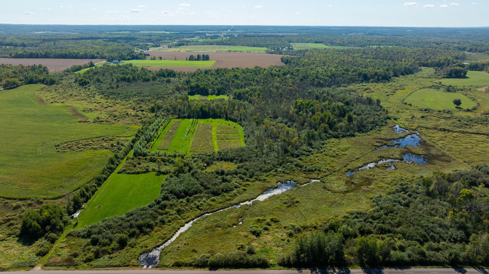 Tbd County Road West Holcombe, WI 54745 - Photo 1 of 1 Gallery Image 1