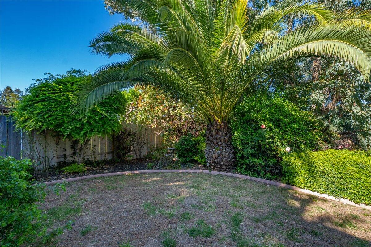1119 River Ridge Drive Redding, CA 96003 - Photo 38 of 57 Backyard