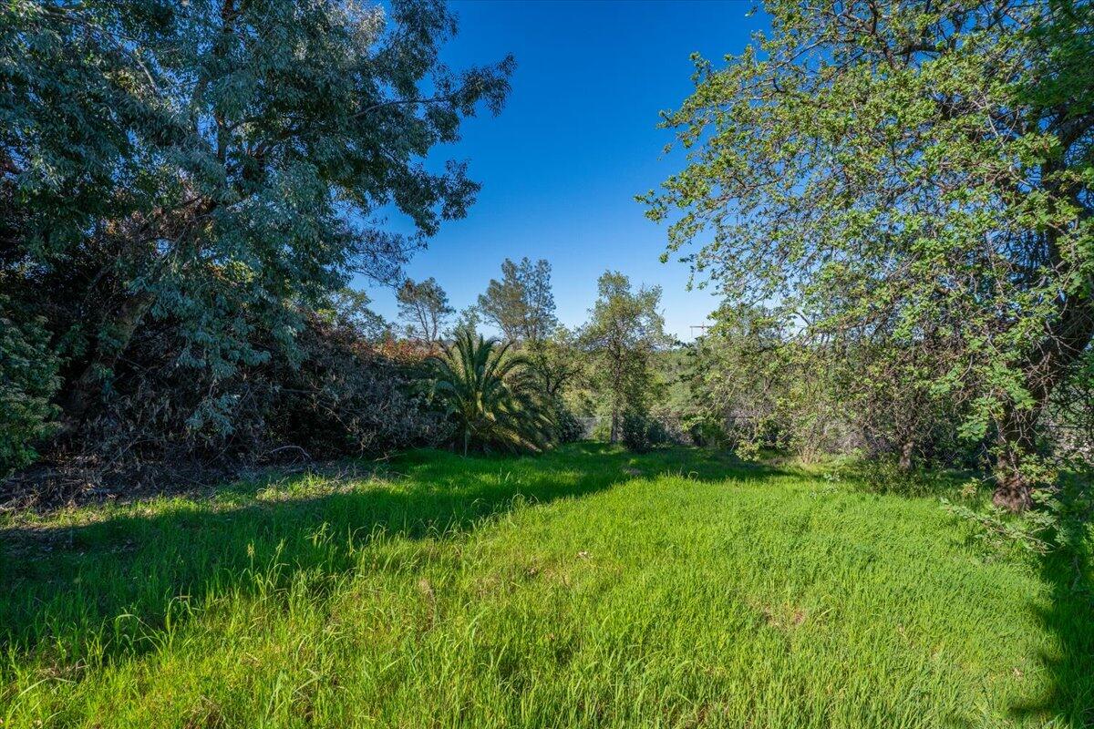 1119 River Ridge Drive Redding, CA 96003 - Photo 49 of 57 Room for a Pool