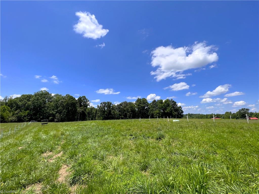 326 Tobacco Road Madison, NC 27025 - Photo 41 of 49 Gallery Image 41