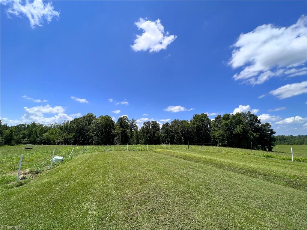 326 Tobacco Road Madison, NC 27025 - Photo 43 of 49 Gallery Image 43