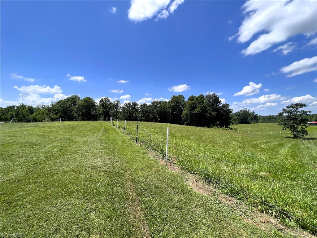 326 Tobacco Road Madison, NC 27025 - Photo 45 of 49 Gallery Image 45