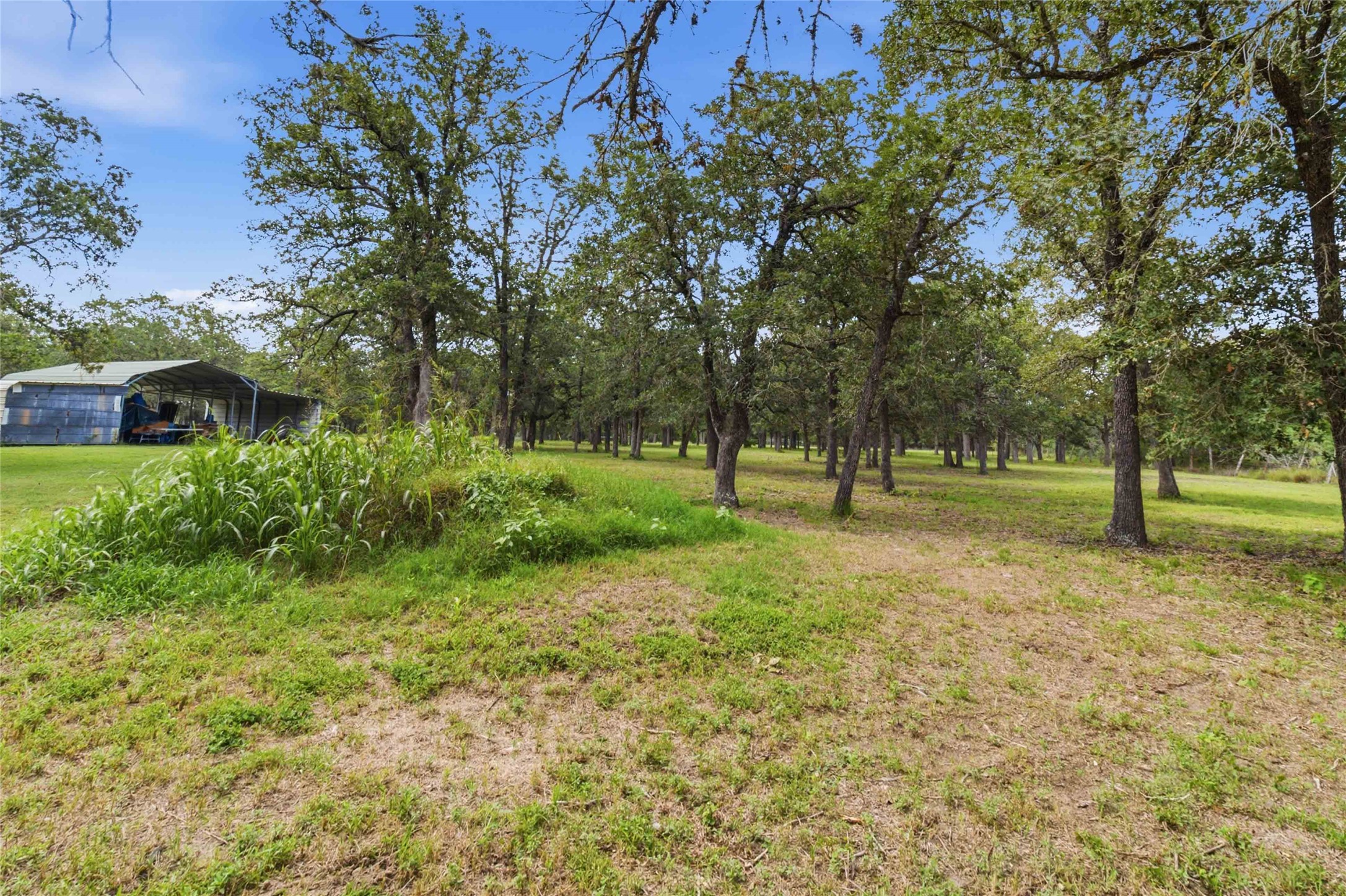 7921 Vista Ranch Road Smithville, TX 78957 - Photo 26 of 39 Mature trees define the property line, offering natural shade and privacy.
