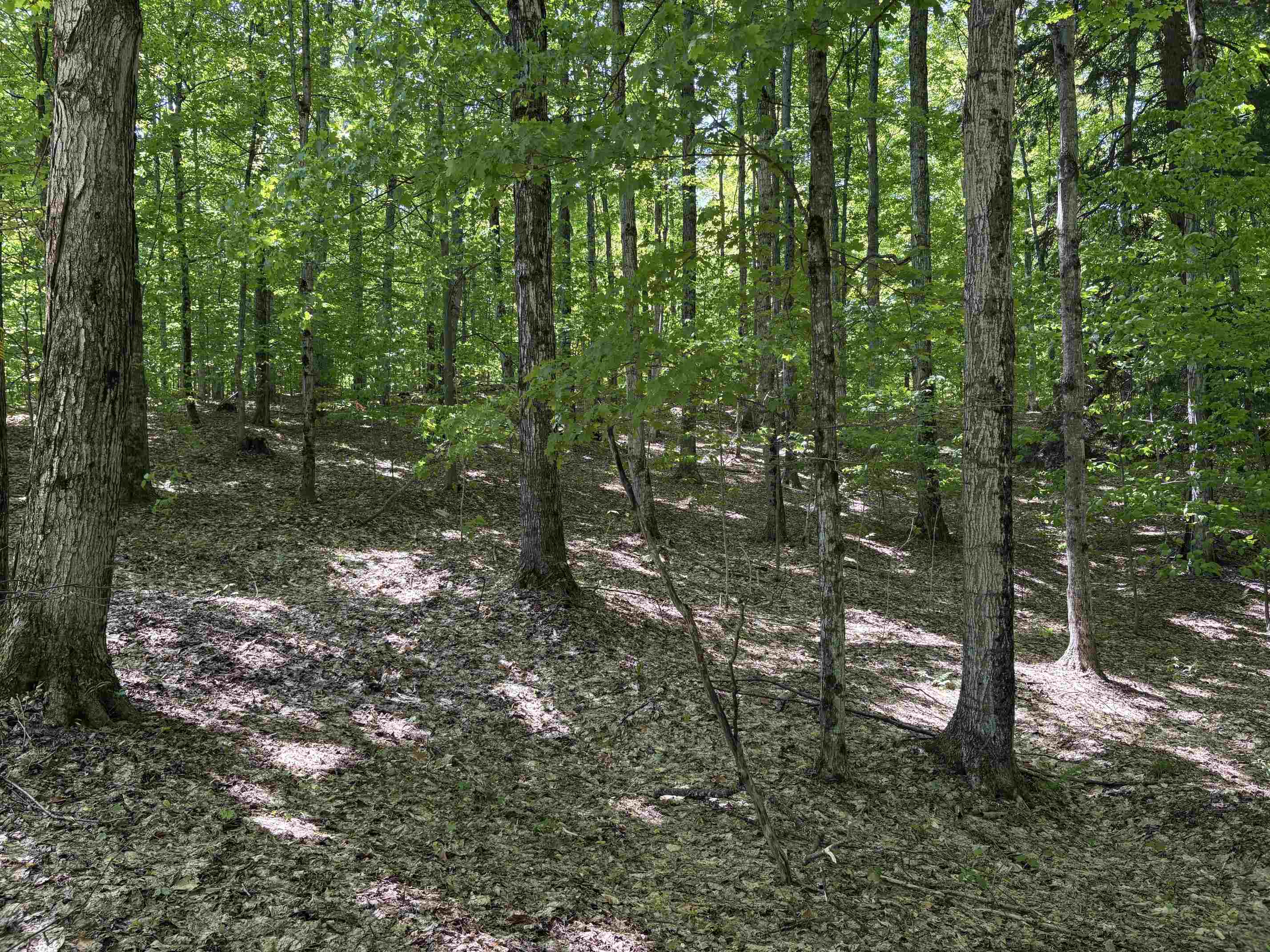 13631 Beaver Pond Road Empire, MI 49630 - Photo 14 of 55