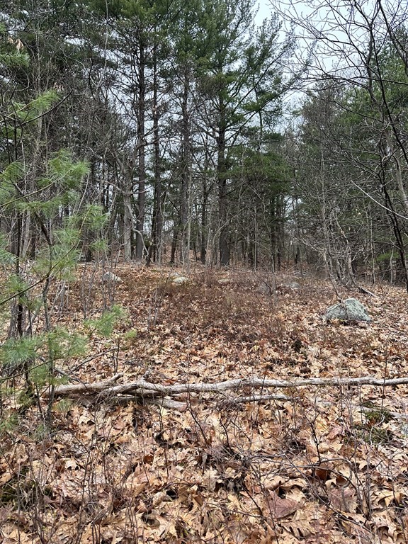 2 Concord Road Saugus, MA 01906 - Photo 1 of 3 Gallery Image 1
