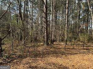 2949 Rosebud Road Loganville, GA 30052 - Photo 14 of 39