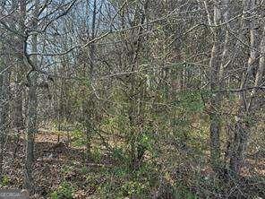 2949 Rosebud Road Loganville, GA 30052 - Photo 15 of 39