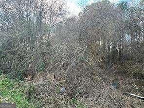 2949 Rosebud Road Loganville, GA 30052 - Photo 17 of 39