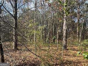 2949 Rosebud Road Loganville, GA 30052 - Photo 22 of 39