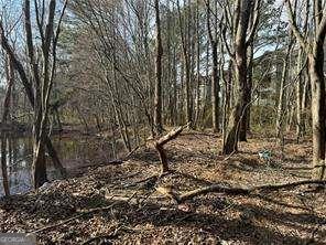 2949 Rosebud Road Loganville, GA 30052 - Photo 26 of 39