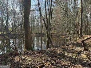 a view of a yard with a trees