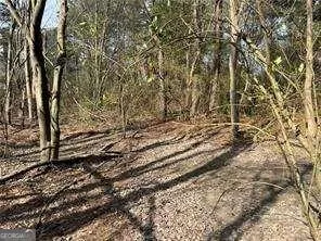 a view of a yard with wooden fence