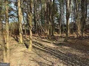 a view of a yard with iron fence