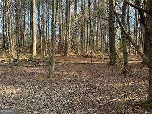 2949 Rosebud Road Loganville, GA 30052 - Photo 30 of 39