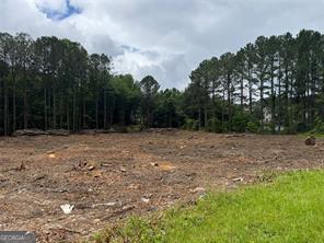 2949 Rosebud Road Loganville, GA 30052 - Photo 3 of 39